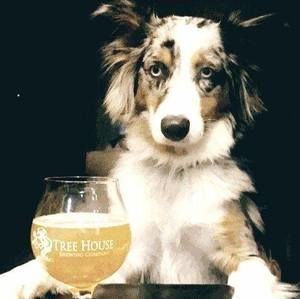 Meet your Posher, Corey